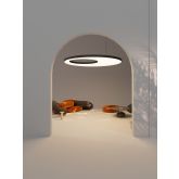 ALBERTA SLIGHT ECCENTRIC